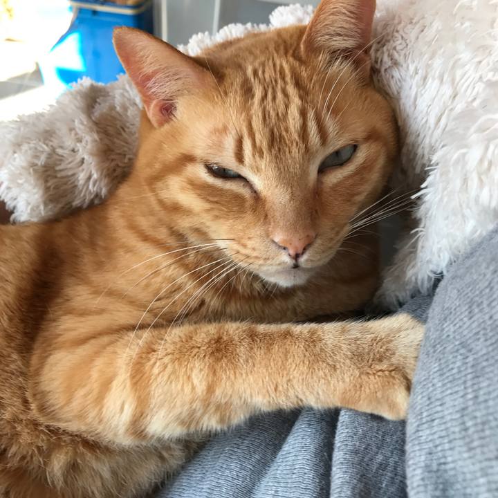 8ed04225 b37c 4bd2 8b16 8886eb2c5a7b