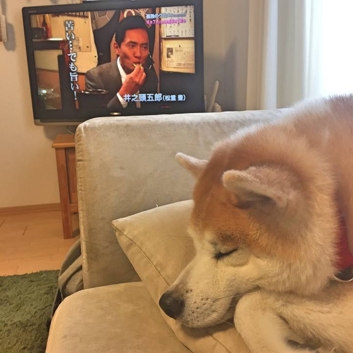 8ed06557 e908 47b8 9919 36da3d376b90