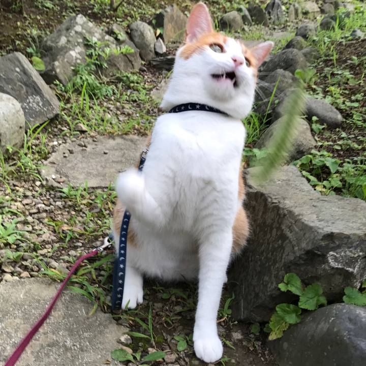 8ed07743 e4f9 4185 9543 737145cba09c