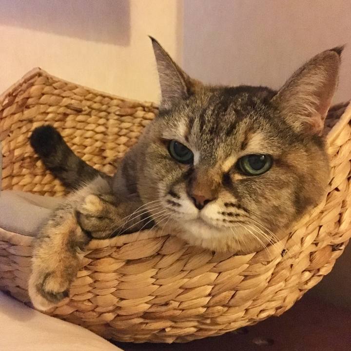 8ed16366 2251 4489 b860 7e5e78445db9