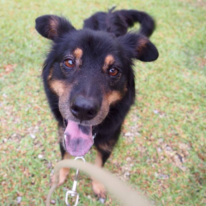 8ed19b82 cd9d 4da1 9def cfde7f1ee316