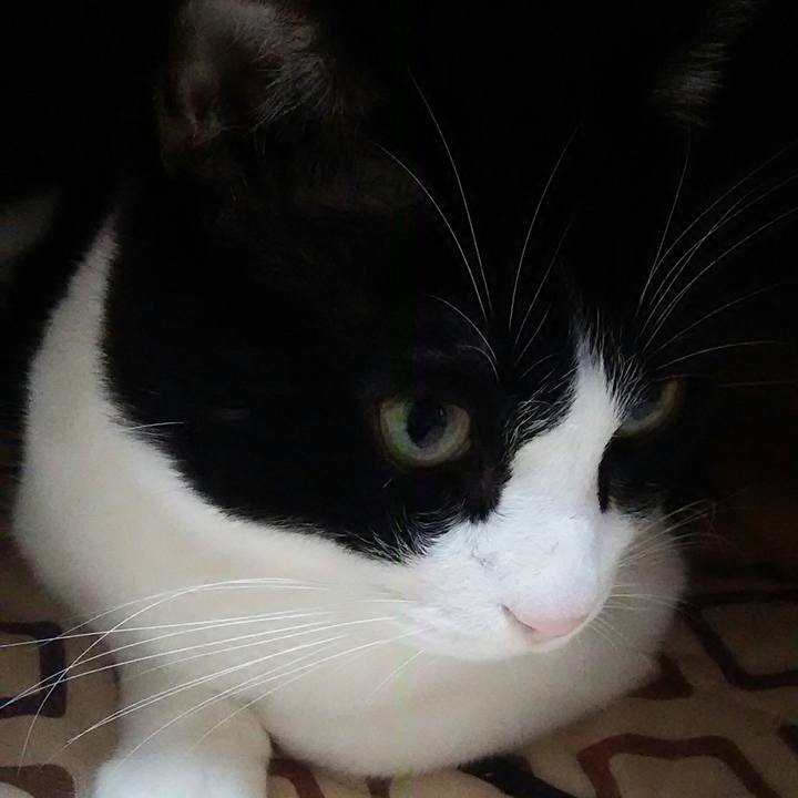 8ed1d17d a8b1 49c7 89f0 6c07bc92b4a0