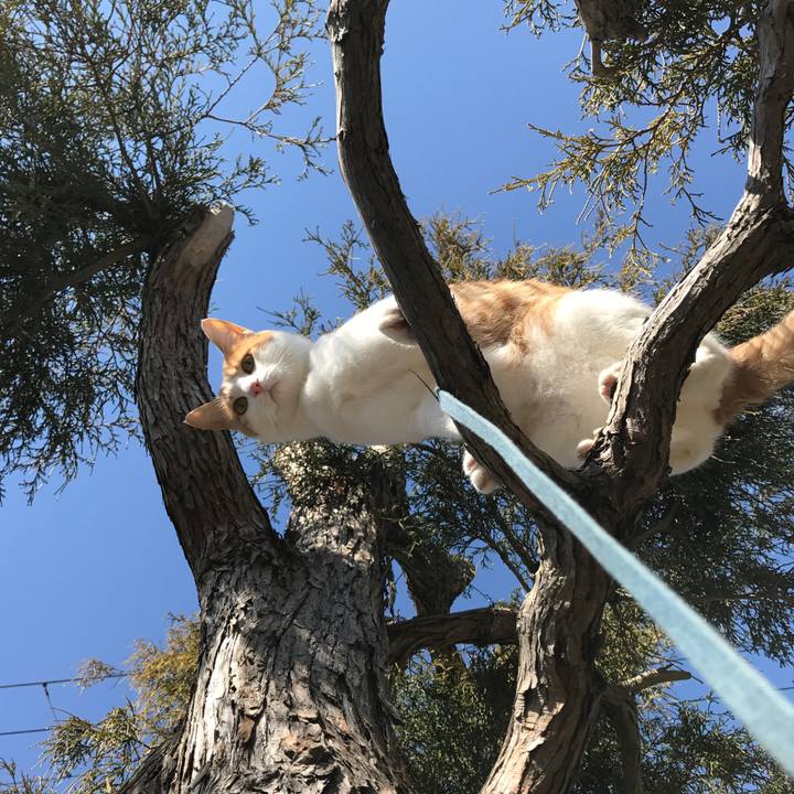 8ed236f5 8aa2 4c3a 9295 cf4ffe85a0d7