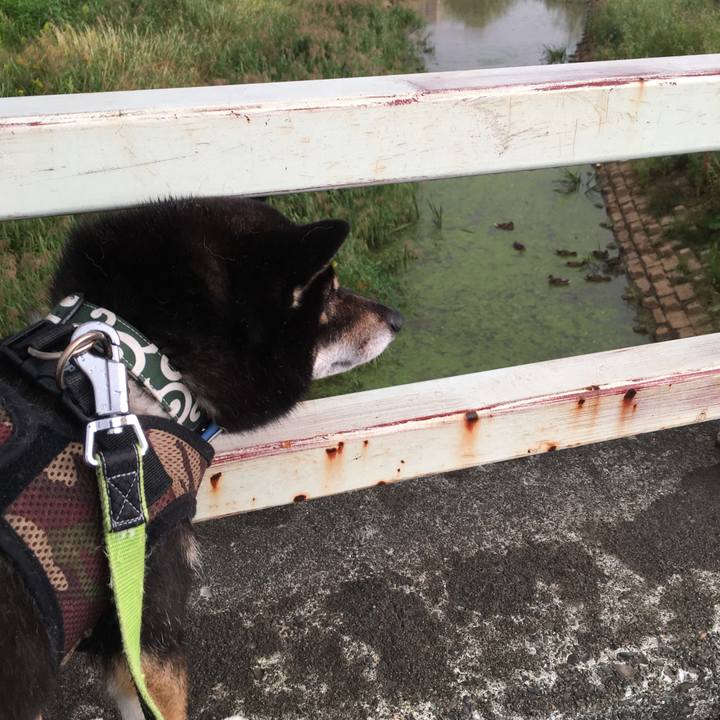 8ed2f653 e511 4b7a 84bc c43d4969af00