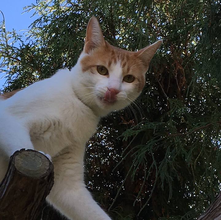 8ed2ff0d a790 483d b26e 4a6f6f08be04