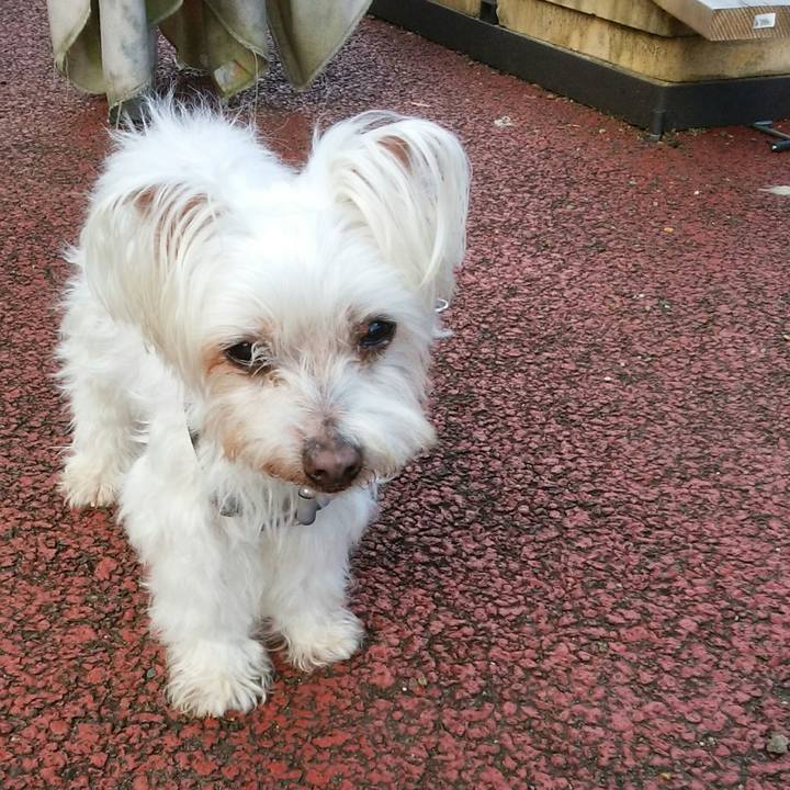 8ed33110 e0bc 460e a03d 664591a236b2