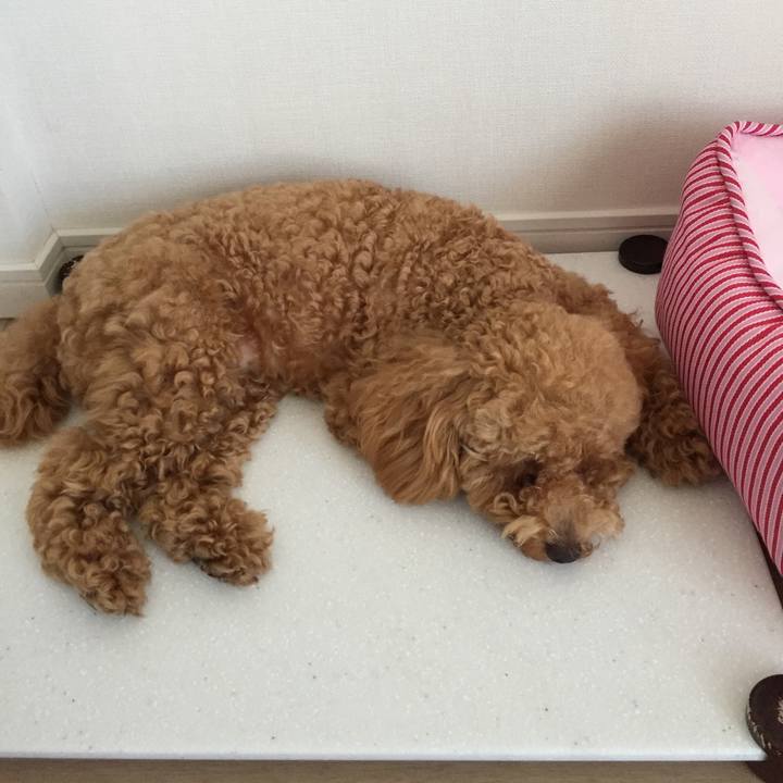 8ed363d1 890f 4ddb 9395 1fd8050f7a91