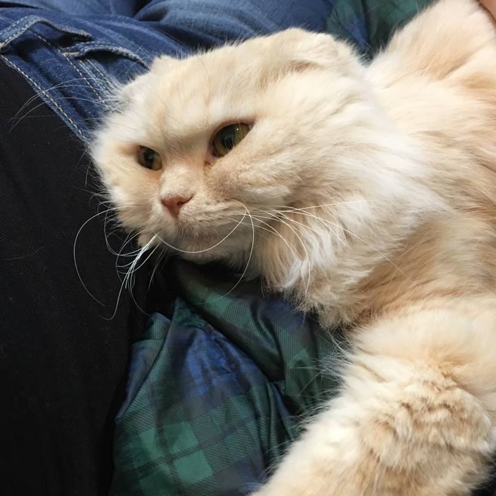 8ed3e3cc bc97 40bc ba81 c4ad3c765670