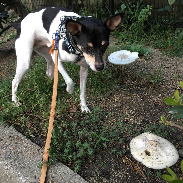 8ed3ef2b b2e8 4815 91c4 7b26f7e28335