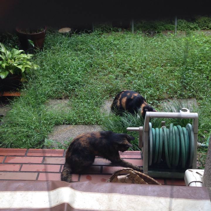 8ed40c4c dbdd 404d aa8d 49246fd7871c