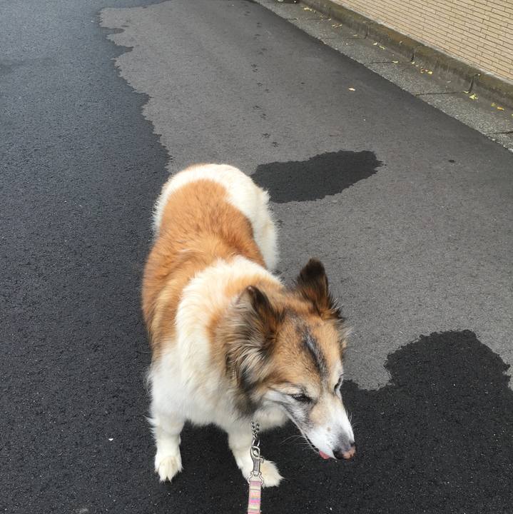 8ed4461a 454e 44b2 890d 06c505116e40