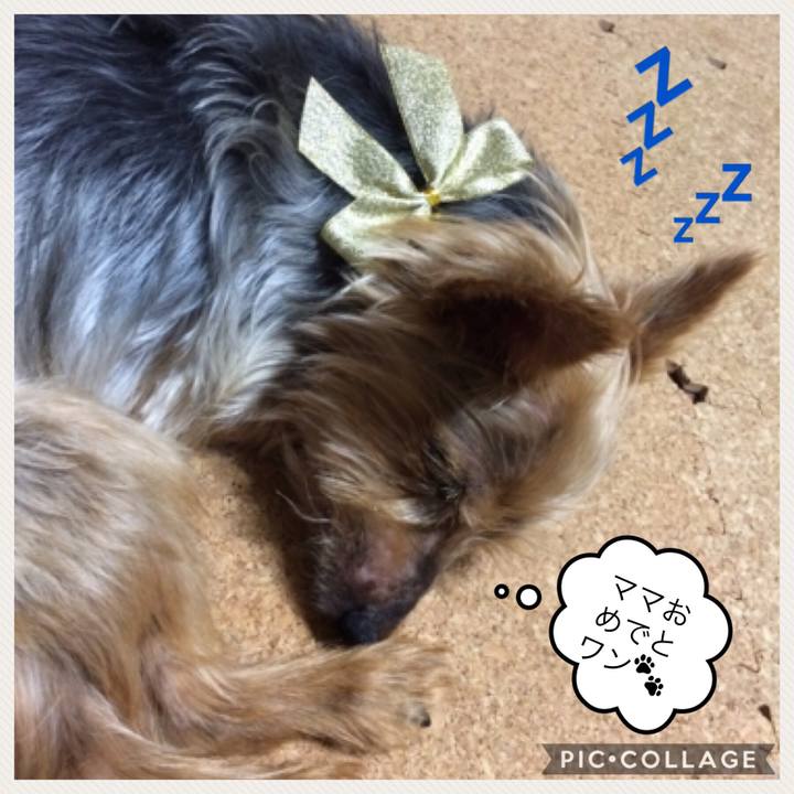 8ed5d73b 03cf 4860 b66f d9f15d25c02c