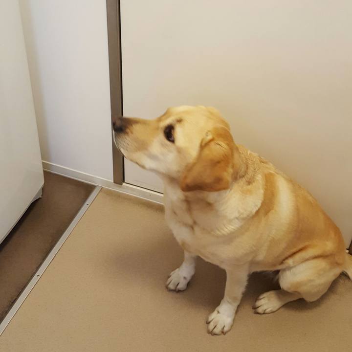 8ed60cbb 20d0 4bd2 8cbe 239830433554