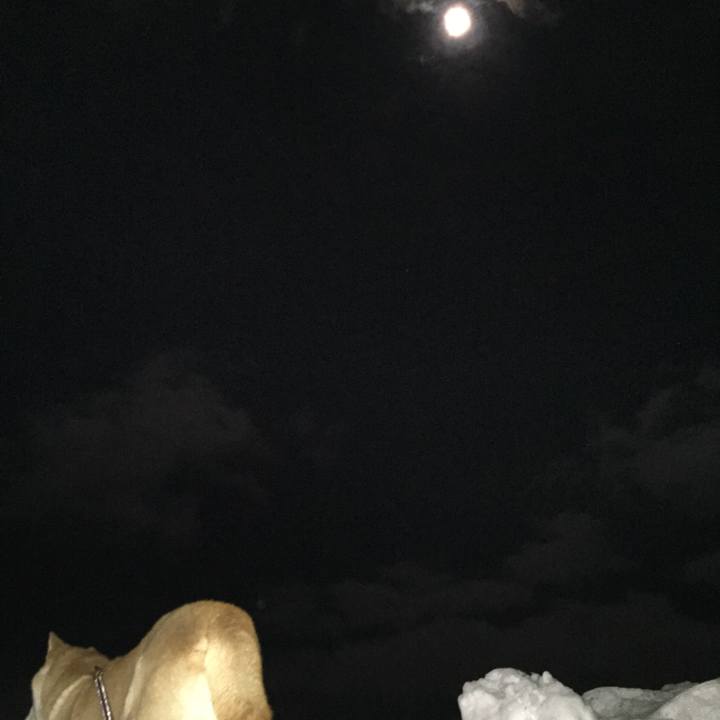 8ed6e662 10a5 418f b716 7d1bbd0344b9