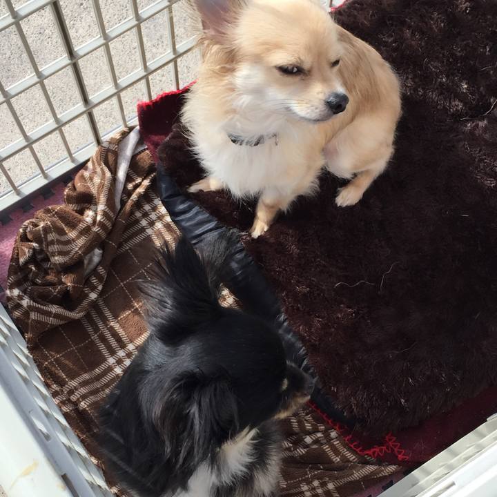 8ed75b9c 5858 4189 ae2b b4161d265eb7