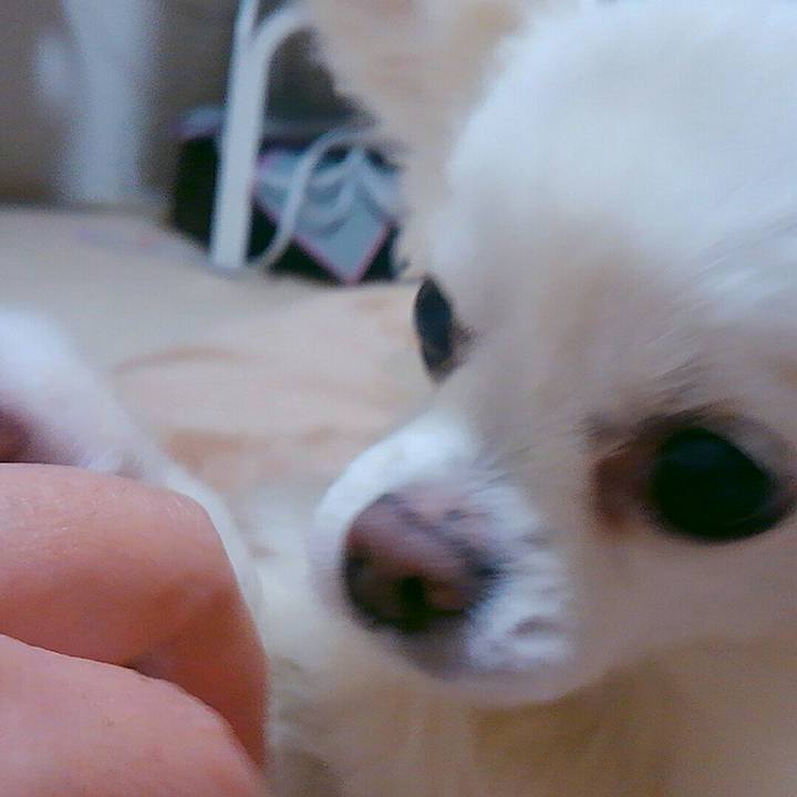 8ed771a5 245b 4cdc 903f 64be760819d3