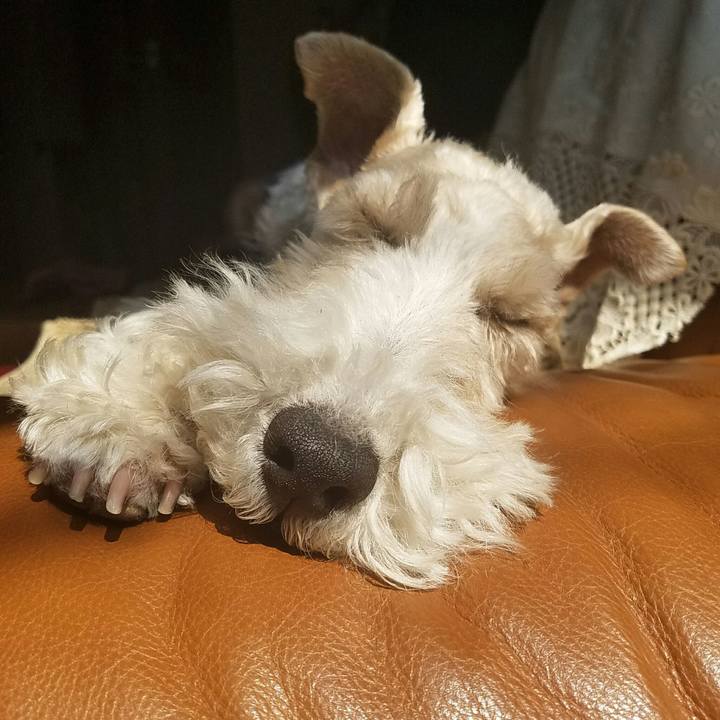 8ed77bfc 883f 4281 9572 68c182fd051f