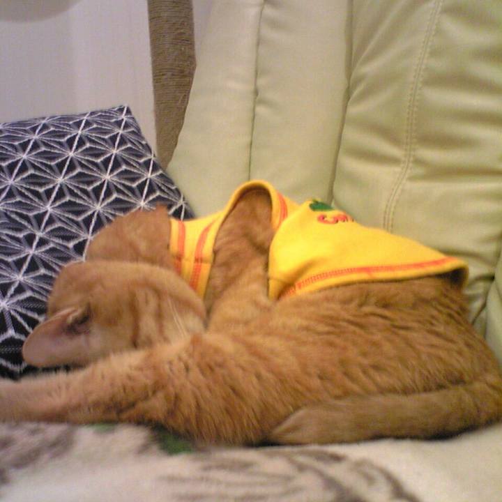 8ed7b551 b8ce 40b0 abd9 3ce80b12055c