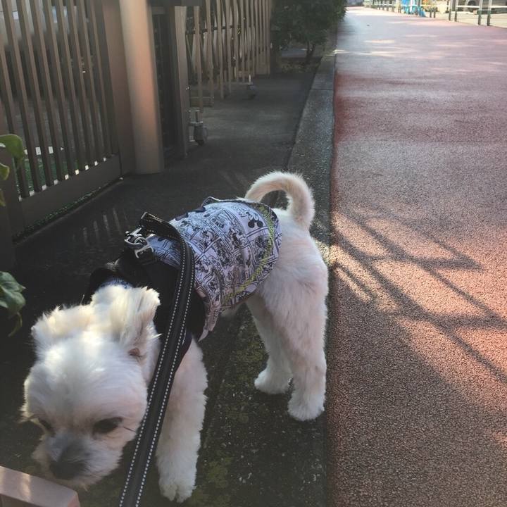 8ed80850 6414 474d a8e4 0c0c9ddcb3d1