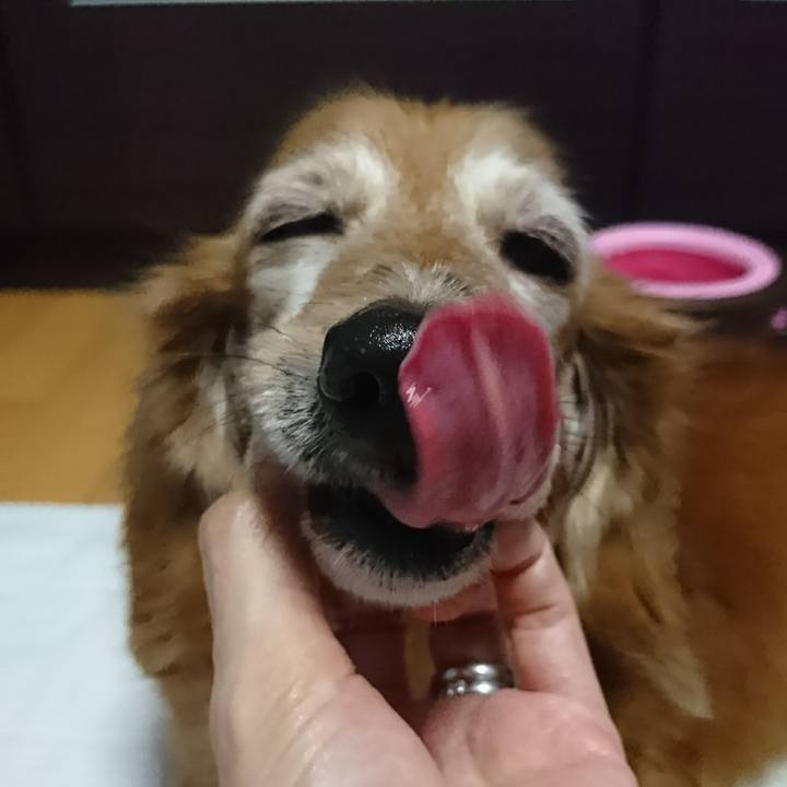 8ed82234 a6b2 4200 aeff 372697311ae4