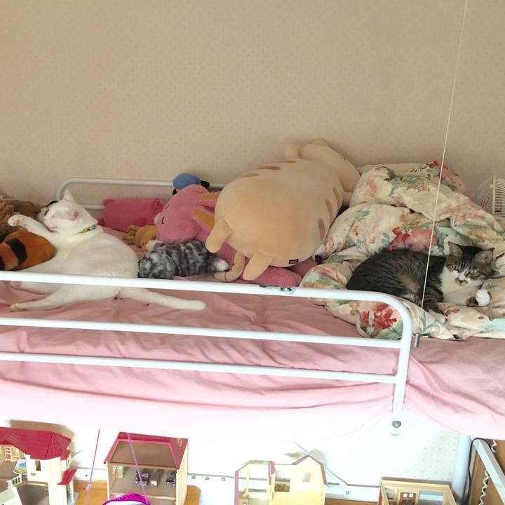 8ed89f20 9e7e 4c50 89d6 9a6ba8e53c3b