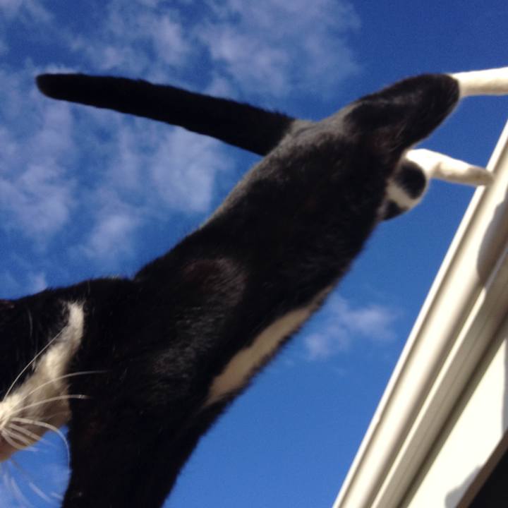 8ed8bb43 475f 4f6a a116 912221186680