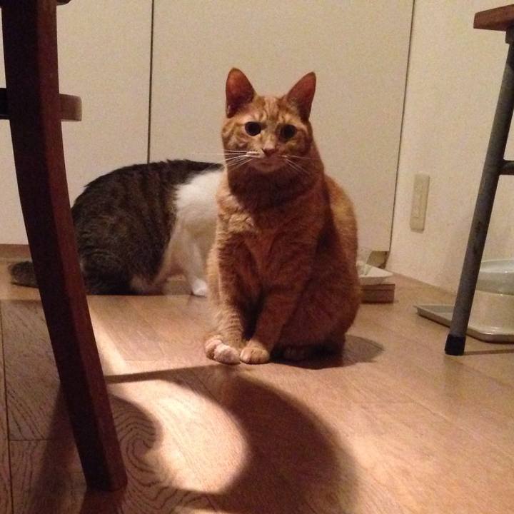 8ed8d918 5742 4f04 887a a8d4b848e225