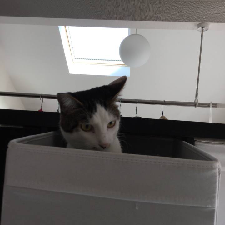 8ed9c5b6 0948 45bf 9d4b 39ce41a544d5