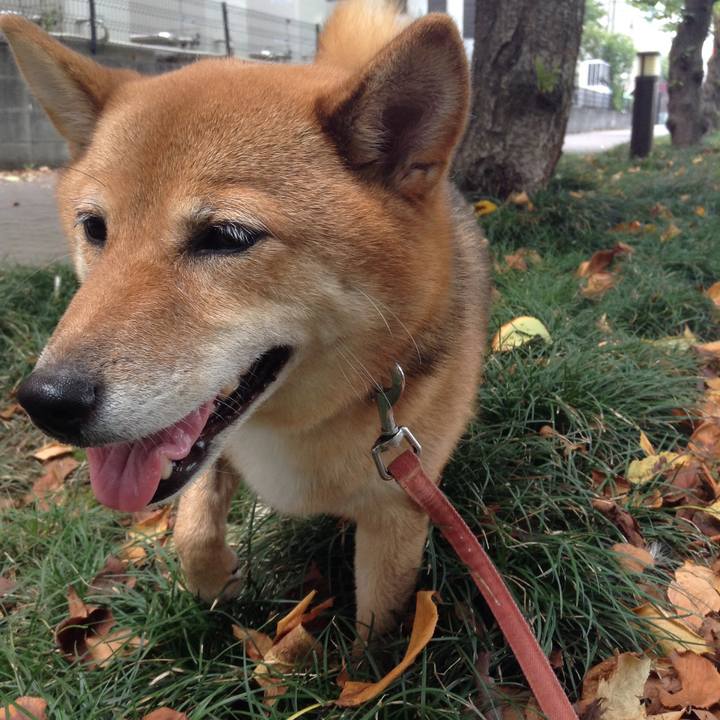 8ed9c83d dc3a 4d0e b5ad d42fe5129633