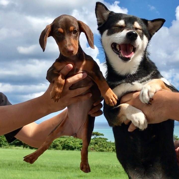 8ed9dd99 9b24 456b ad4e 981bff476e9d