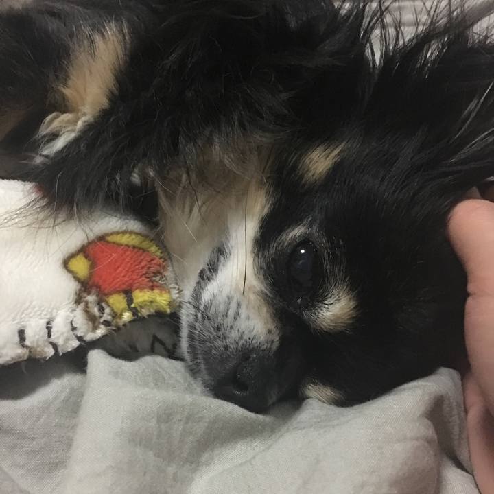 8eda3448 e124 4ef1 8f11 ea36dc5901aa