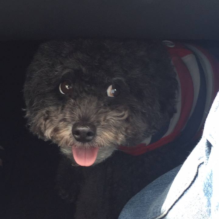 8eda37fb 4f97 4c63 91bb ce7be623a689