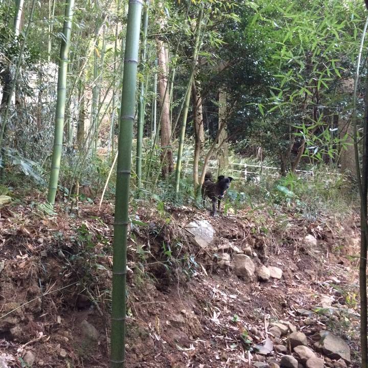 8eda827e c50e 4b31 a012 dbecc05411bc