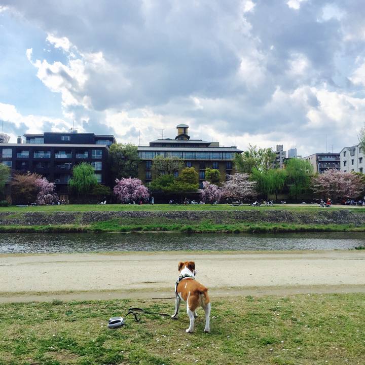 8edaadcf e787 425a b98e 415a5fb4c898