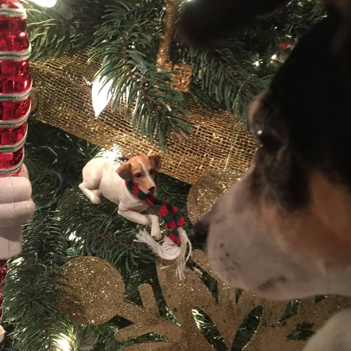 8edaf332 47b1 48c3 a121 645d984ea8f9