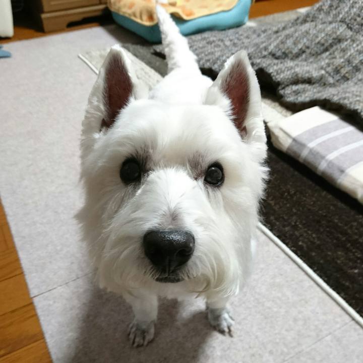 8edb593c 3a5f 46e3 af1d 107201ecfca1