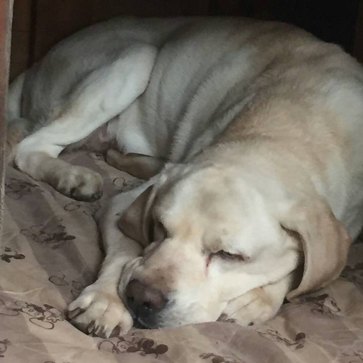 8edb611a 8226 4149 ab0e b37439944412