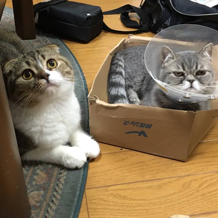 8edb7e84 115c 495c a6a2 655e329ce535