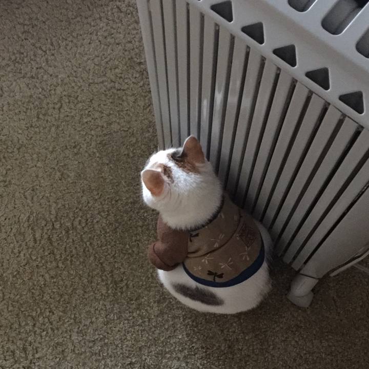 8edb9602 e2ef 47e0 8765 395d8e3e462b