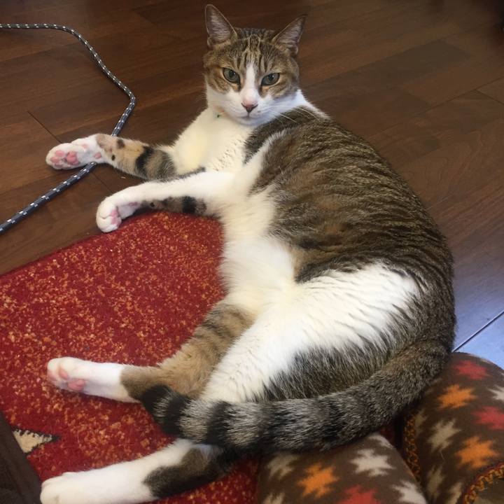 8edbe75c 5ea8 4fc7 915f 1db502e825df