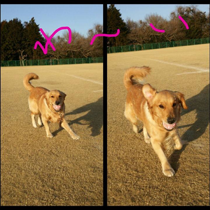 8edc7dfc c58a 499b a837 82f52cd8e219