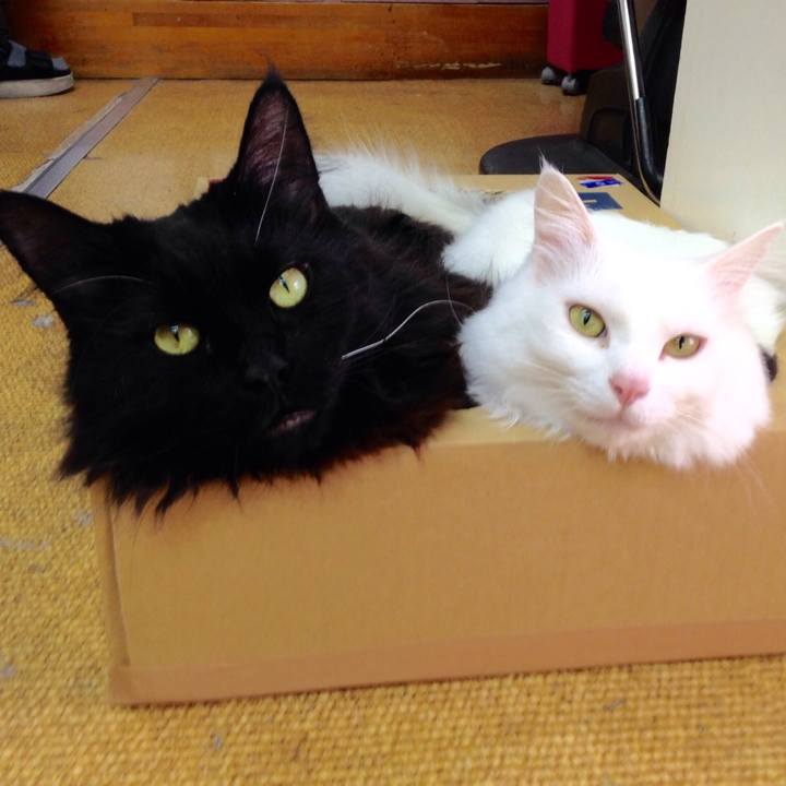 8edc9392 3f7a 4cd9 b6da 4391159a4189