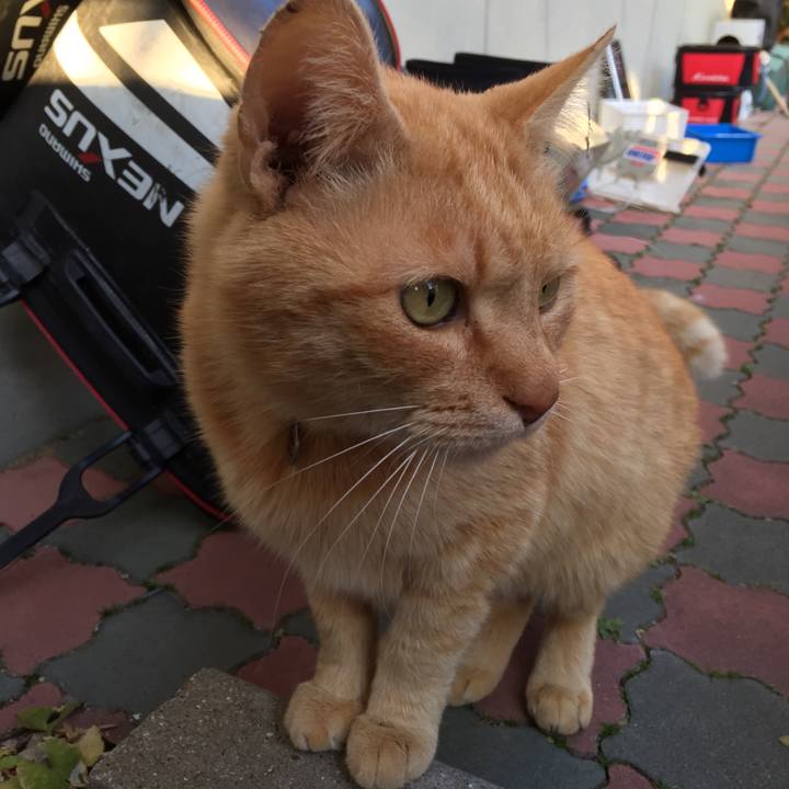 8edcba66 9d8d 4e5f bbdb 0bba6a3d4db0