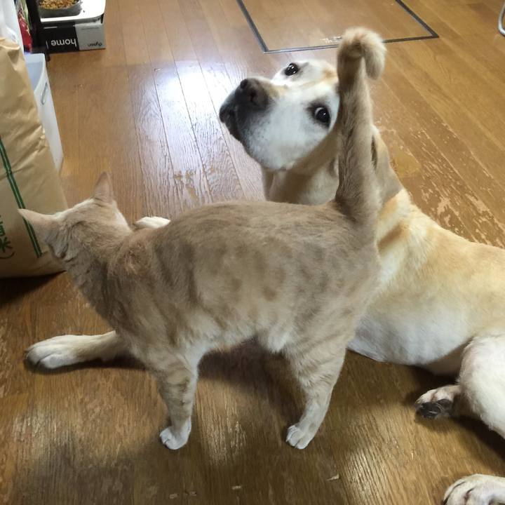 8edd32cf 7bbe 4bf0 bc68 0dfe0581035b