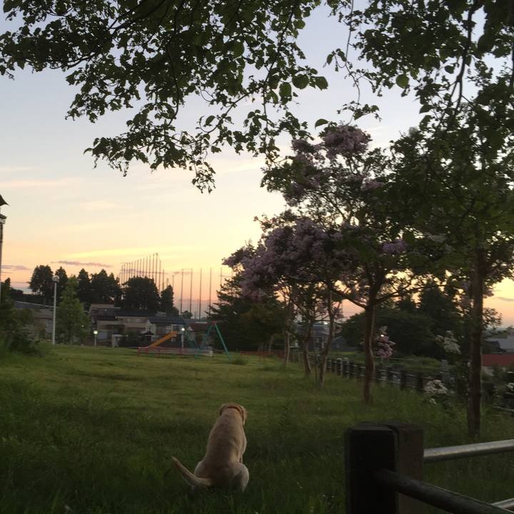 8edda226 1a13 4a31 b07c b56dfa7bfd5a