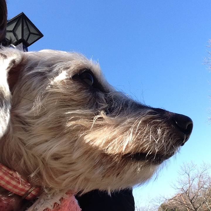 8eddfb1b 7caa 4098 9b87 6f1acd56f4be