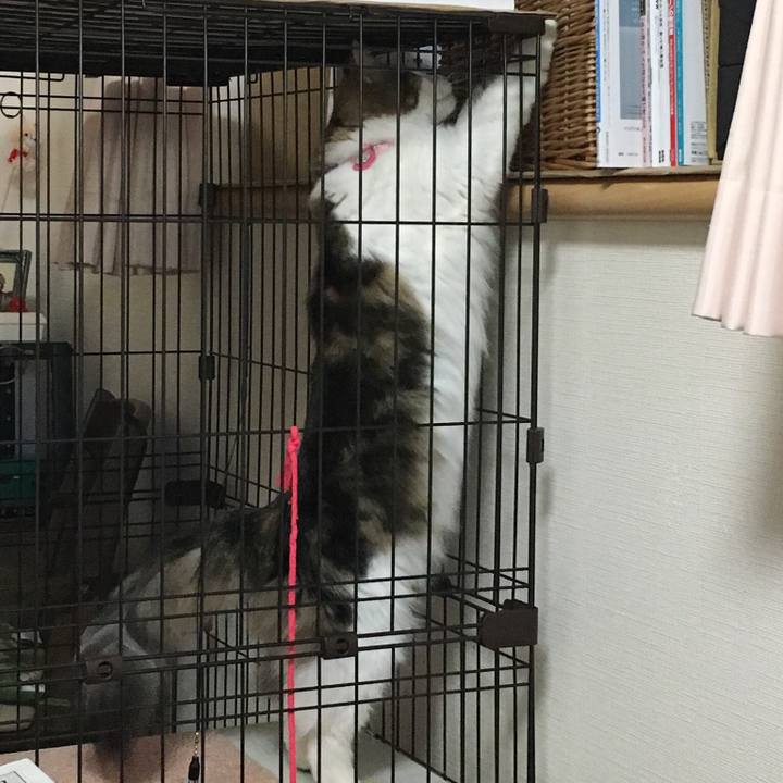 8ede40d3 49de 4113 a3ae 75d5d1c0e66c