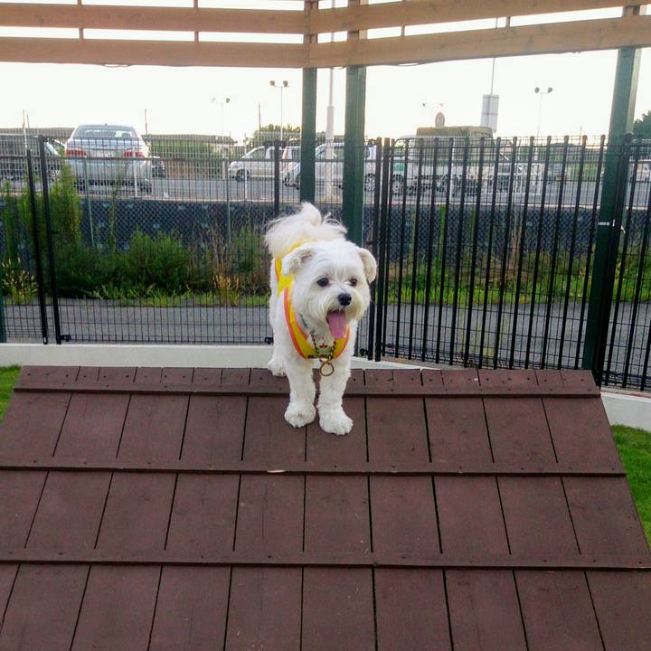 8ede4692 322c 4103 b26b cdbbe87875dc