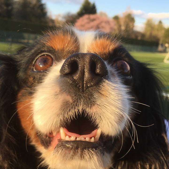 8edf112c 763c 4358 89be 1354b347ad77