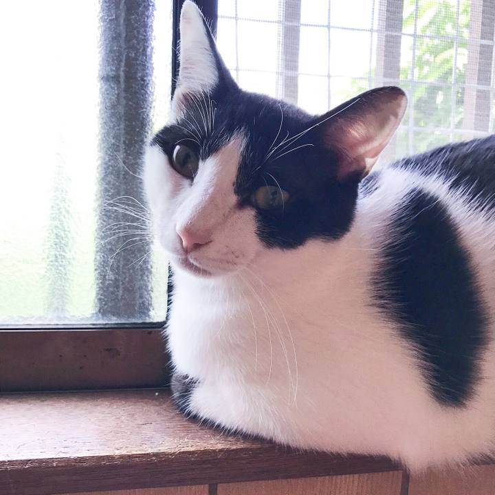 8edf5499 f2c8 4567 8e62 3a7acd403953